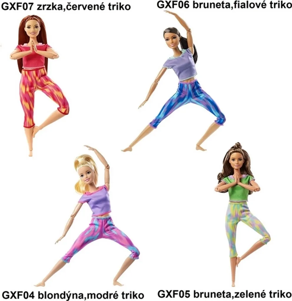 Poupée Barbie En Motion Asst Articulée - Figurine Flexible de Collection
