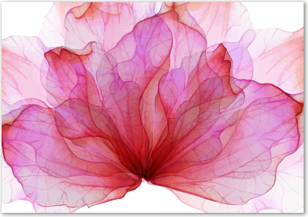Tulup Leinwandbild - 100x70 cm - Wandkunst - Drucke auf Leinwand - Leinwanddruck - Blumen & Pflanzen - Rosa - Rosa Blume