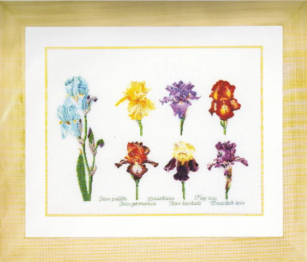 Broderie Point de Croix Iris Panel avec Fils et Toile Evenweave 47x36cm