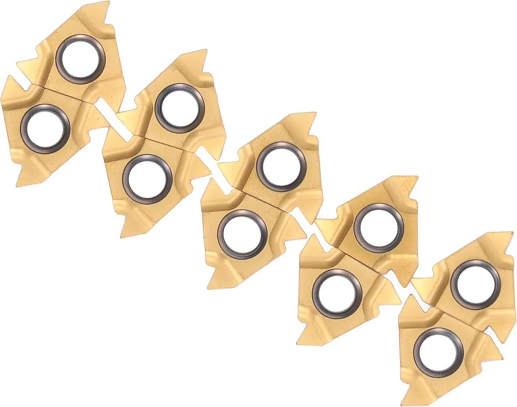 10 Inserts à Filetage Extérieur en Carbure avec Boîte de Rangement - 5