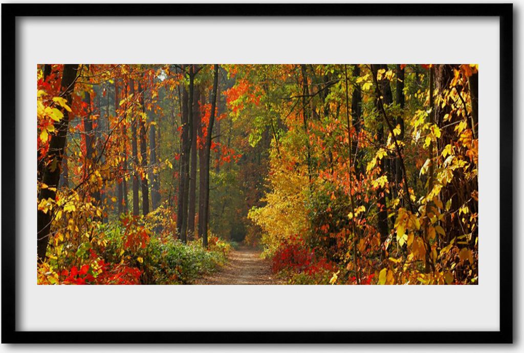 Bild 60x40 MDF-Rahmen Wandkunst Herbst Wald Natur