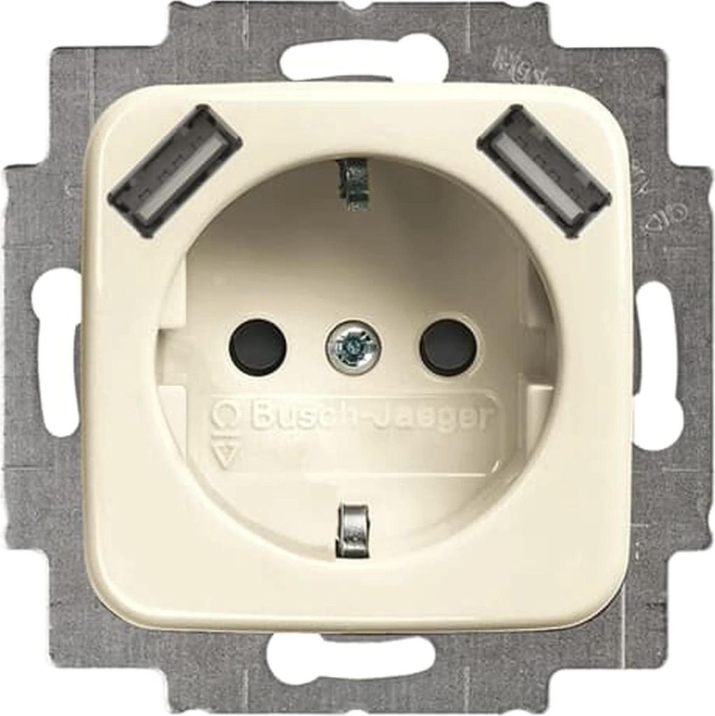 Busch-Jaeger SI SCHUKO-/2x USB-STD 20 EUCB2USB-212, 1 Stk.