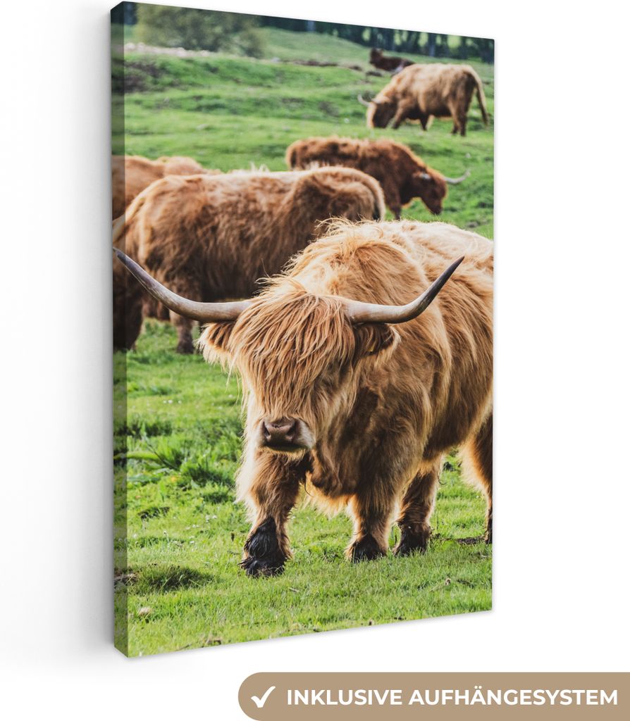 OneMillionCanvasses - Leinwandbilder - 90x140 cm, Herde - Schottisches Hochlandrind - Gras, Wandbilder Kunstdruck Wanddekoration - Wandschmucke -...