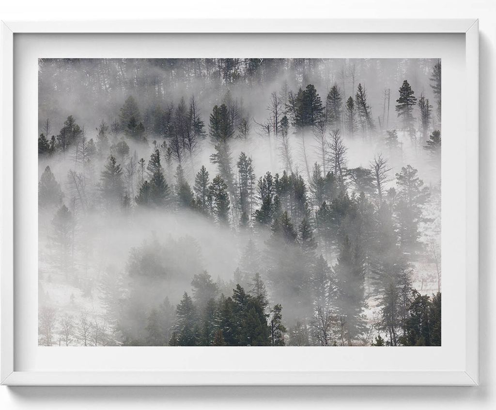 Neblige Waldlandschaft– Wandbild mit Rahmen – Gerahmtes Bild – Wanddekoration – 80x60 cm – Weiß Rahmen