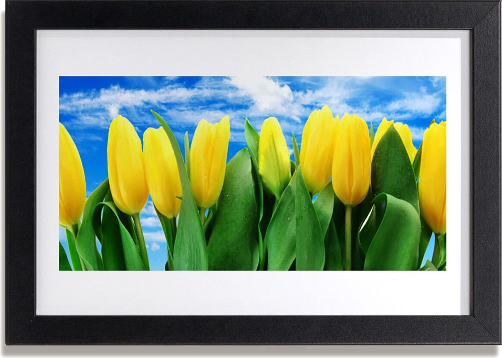 Bild 30x20 MDF-Rahmen Wandkunst Tulpen Blumen