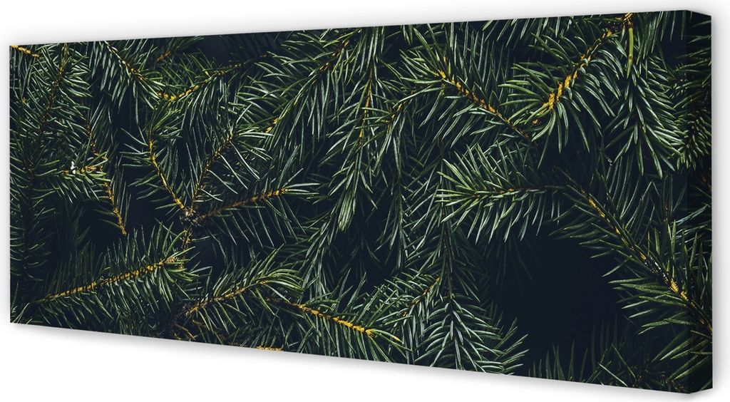 Leinwandbild 125x50 Wandkunst Weihnachtsbaum Zweige