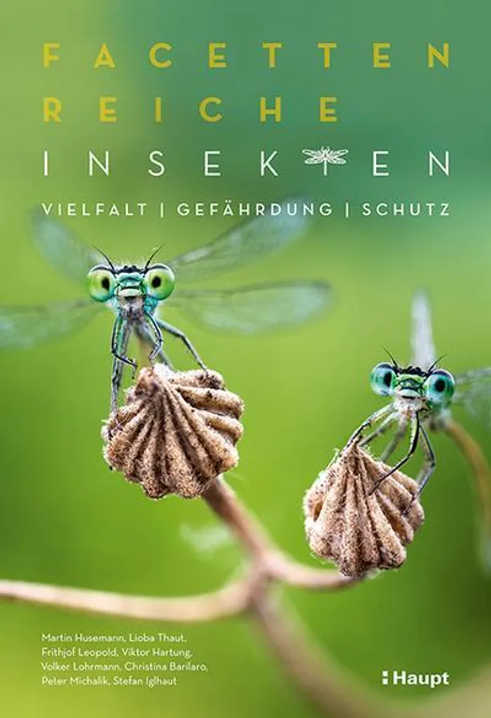 Accessoire Vision Facettes d'Insecte pour Petit Explorateur de Nature