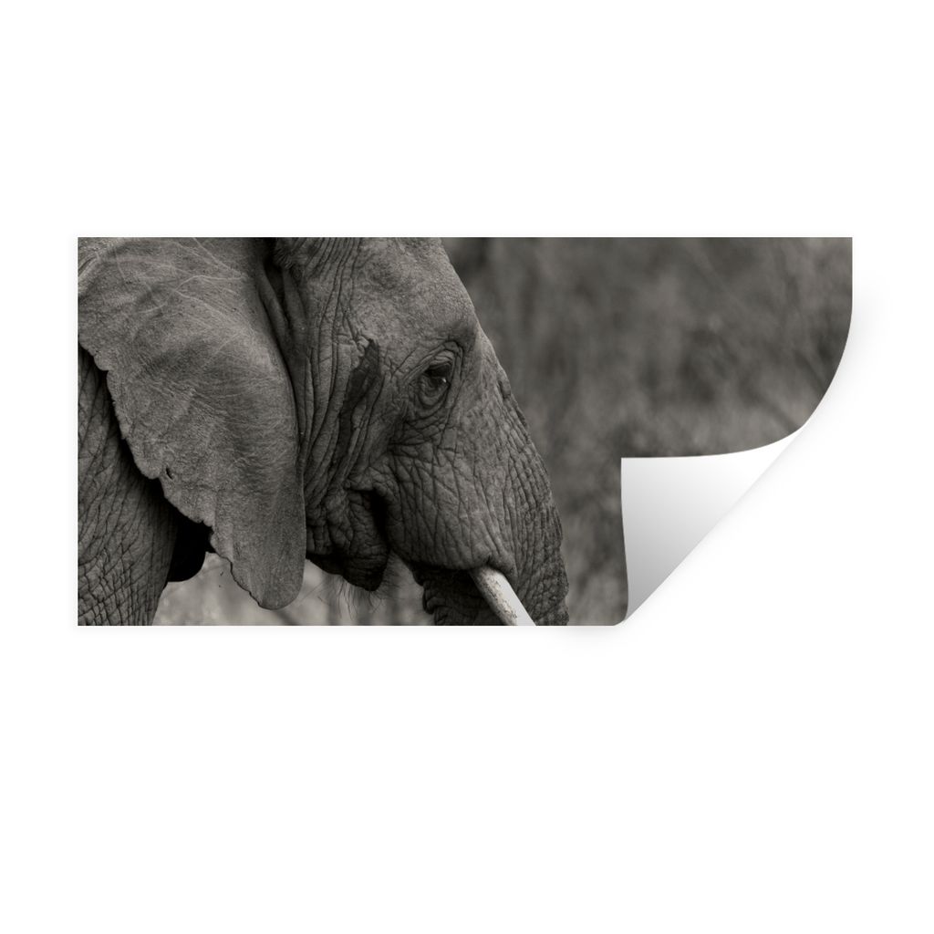 MuchoWow Wandtattoo Wandsticker Wandaufkleber Elefant - Tiere - Schwarz - Weiß 160x80 cm Selbstklebend und Repositionierbar - Sticker - Dekorfolie