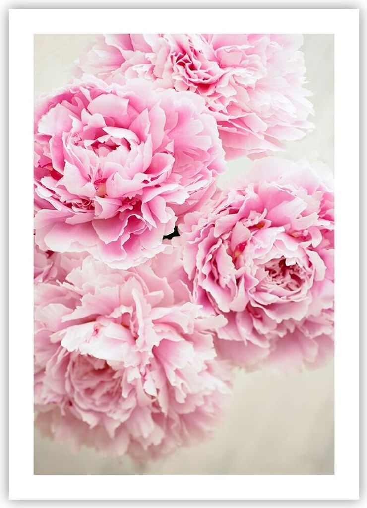 Poster - Poster ohne Rahmen - Pfingstrosen Blumenstrauß Blumen - 50x70 cm - Wand Bild - Wanddeko - Wandbilder - Kunstposter - Wandposter - Bilder ...