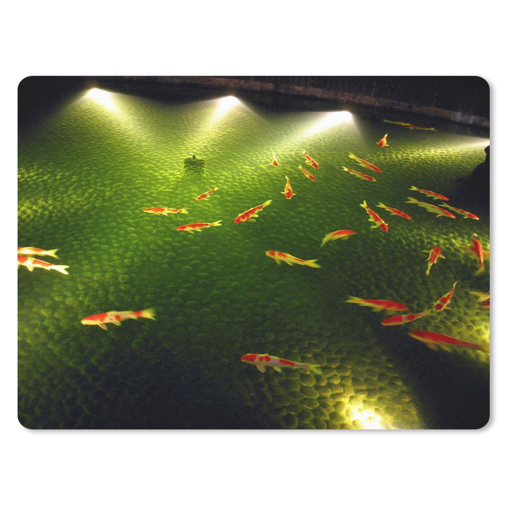 MuchoWow Mauspad Mousepad Eine große Gruppe von Koi-Karpfen schwimmt nachts in einem Gartenteich 23x19 cm - Mousepads - Maus Mat - Pad - Mausunt...