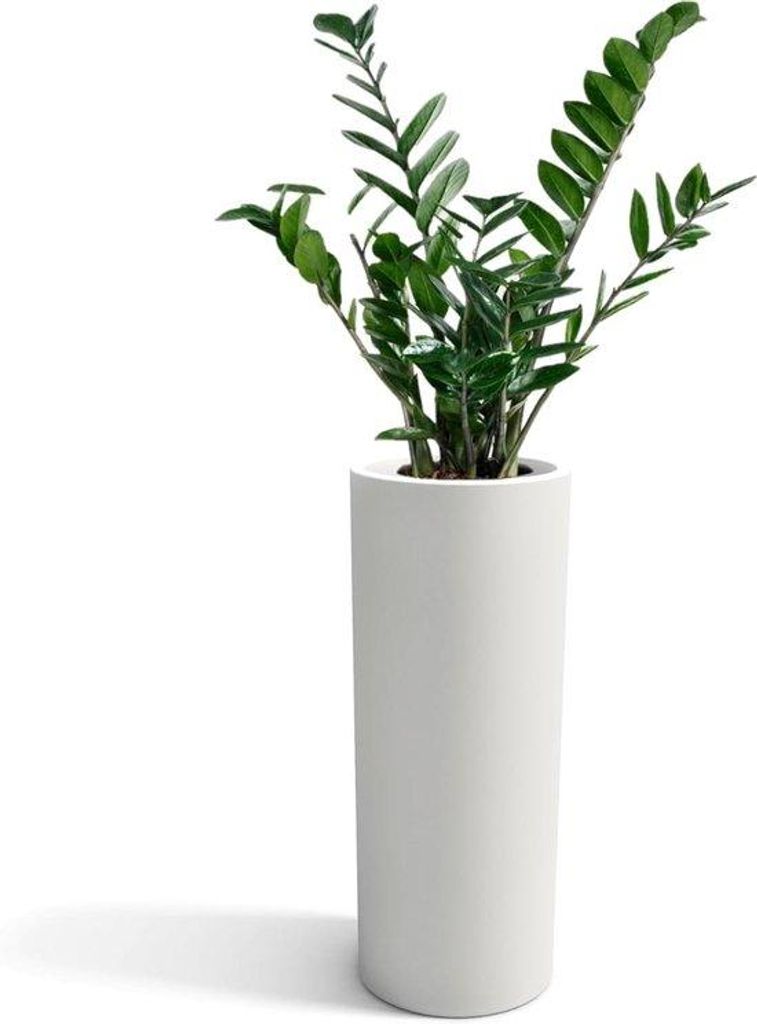 Moderne Polyethylen Vase, 90 cm hoch, barock, 35x35x90 cm, 26 cm tief
