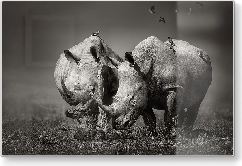 DEQORI Schneidebrett Glas 30x20 cm 'Stille Titanen' Schneideplatte Servierplatte groß