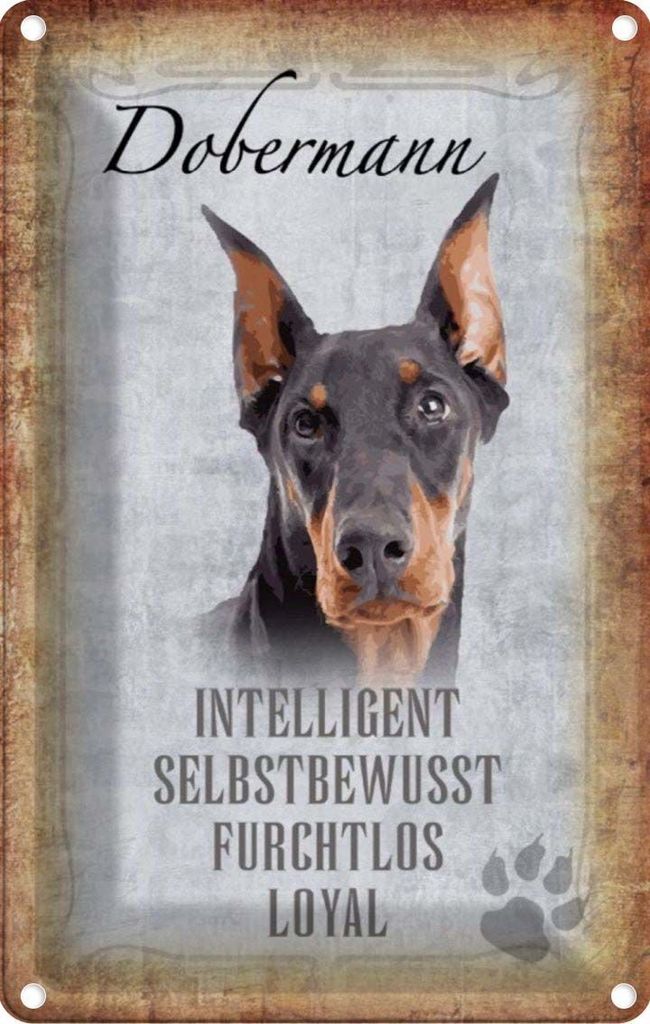 vianmo Blechschild 18x12 cm Dobermann Hund loyal Tier Haustier
