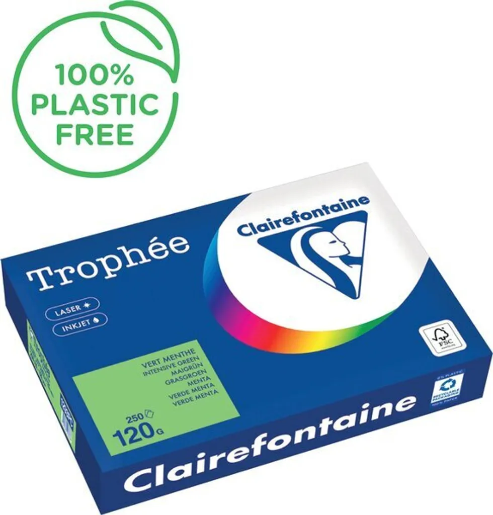 Risma Clairefontaine Trophée A4 120g Verde - Carta Colorata 250 Fogli