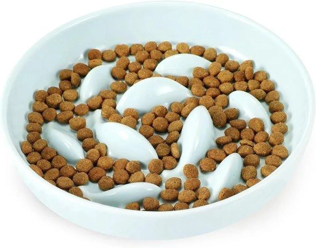 Gamelle anti-grattage en céramique pour chats verte - Design Stable 850ml