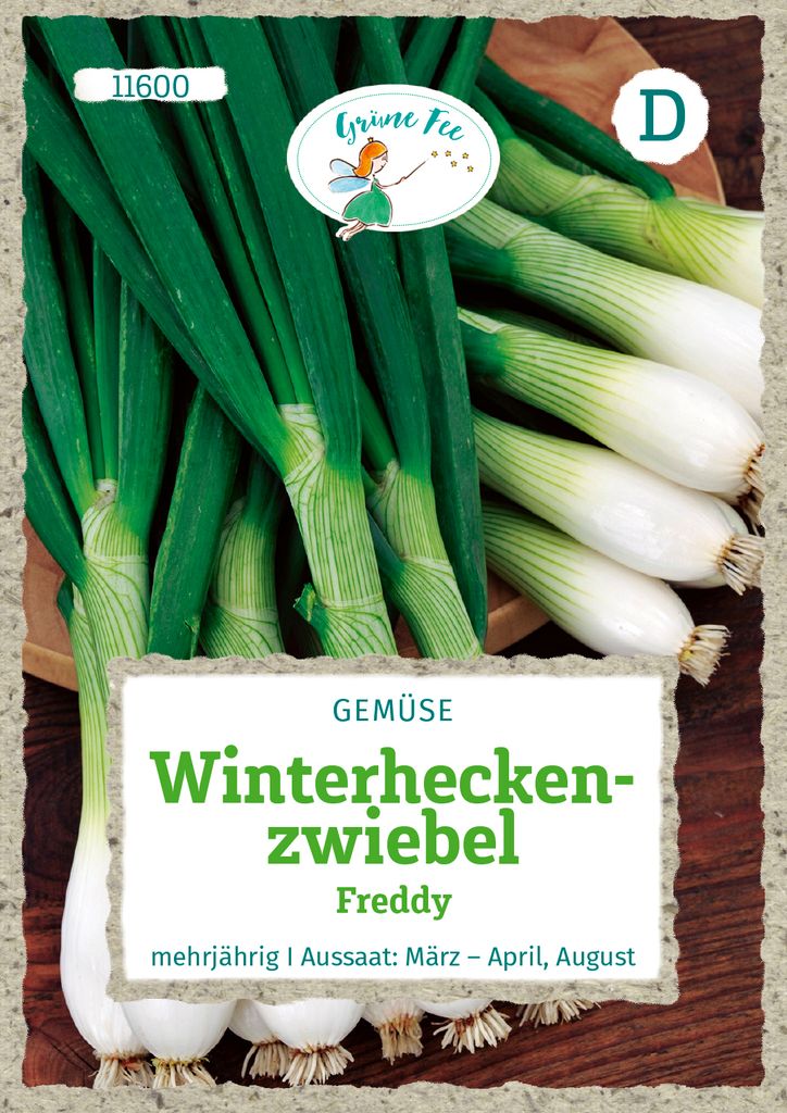 Grüne Fee - Winterheckenzwiebel Freddy Samen - 11600 Produktbild 