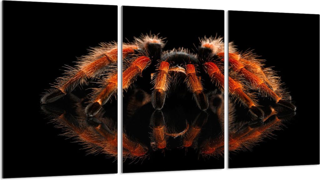 Glasschutzplatte für Herd 3x30x52