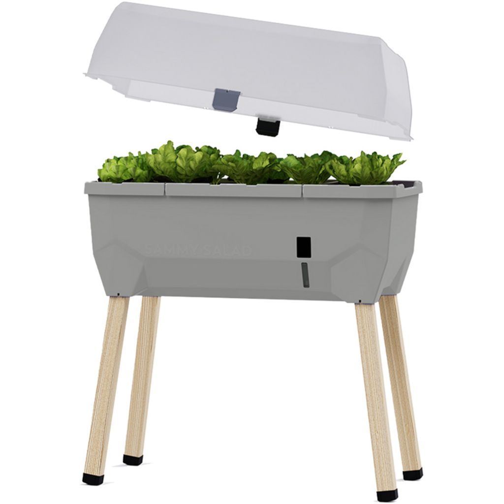 Gusta Garden Sammy Salad, Topfpflanzer, Freistehend, Produktbild 