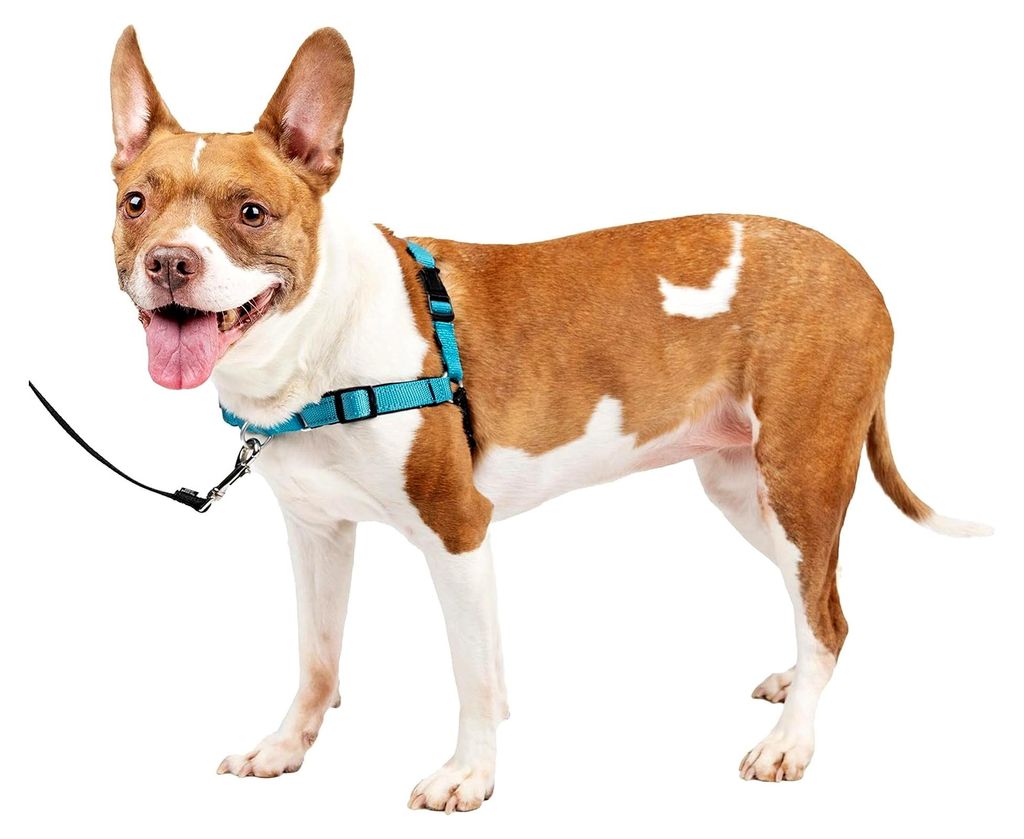 Easy Walk Deluxe Geschirr, Gehgeschirr ohne Zug für Hunde, gepolstertes Design, inkl. 1,8 m Leine, mittelozeanblau/schwarz