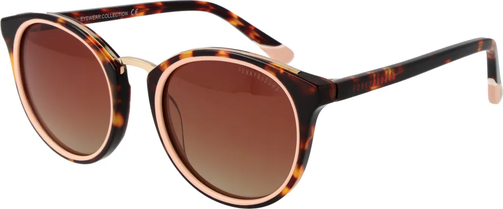 Lunettes de soleil de forme rectangulaire Funky Buddha FBS2046 Noir