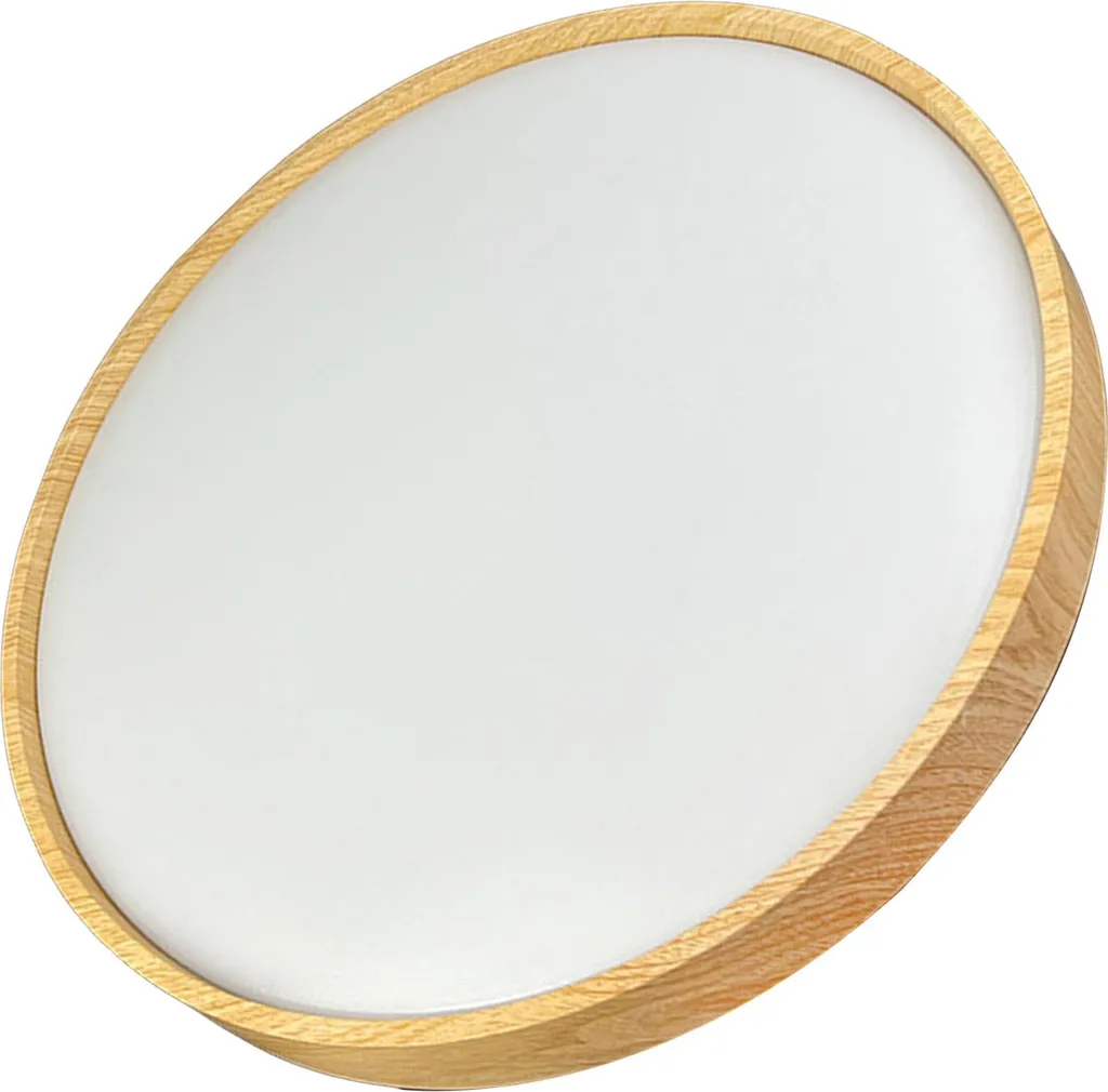 Plafonnier LED Intelligent 2700K-6500K Dimmable Design Contemporain 40W