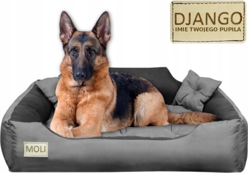 hundefutter arthrose GIGI VET Hunde Gelenke & Knochen Mit MSM & Weihrauchextrakt