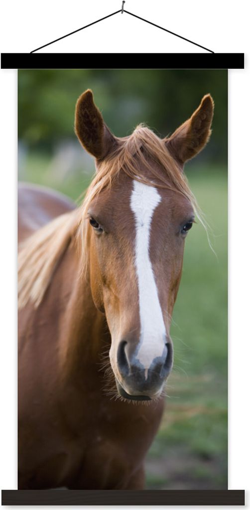 MuchoWow Textilposter Pferd - Natur - Porträt 60x120 cm mit schwarzem Rahmen - Magnete