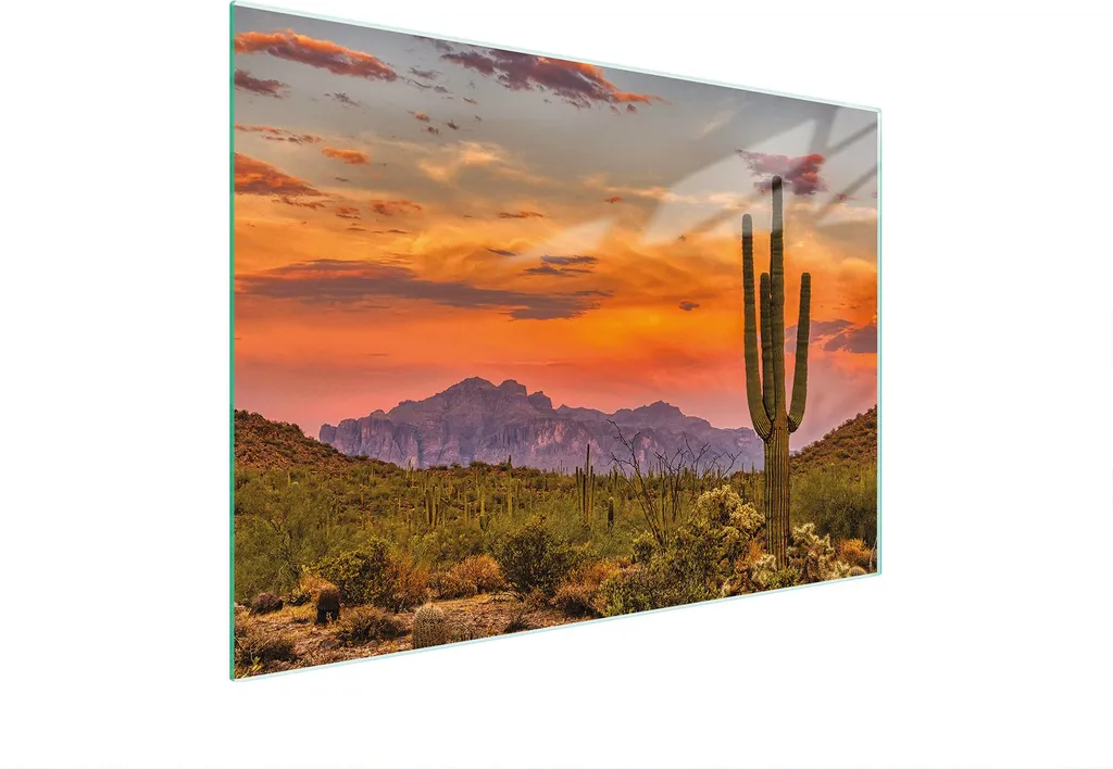 Piastra Vetro Temperato 30x22 cm - Tagliere Coprifornelli Cactus Professionale