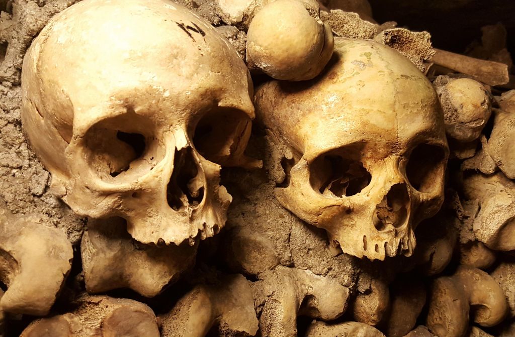 hansepuzzle 107624 - Schädel Puzzle, 500 Teile, Hintergründe, 46,0 x 30,0cm mit hochwertiger Aufbewahrung, Kartonbox & Beutel