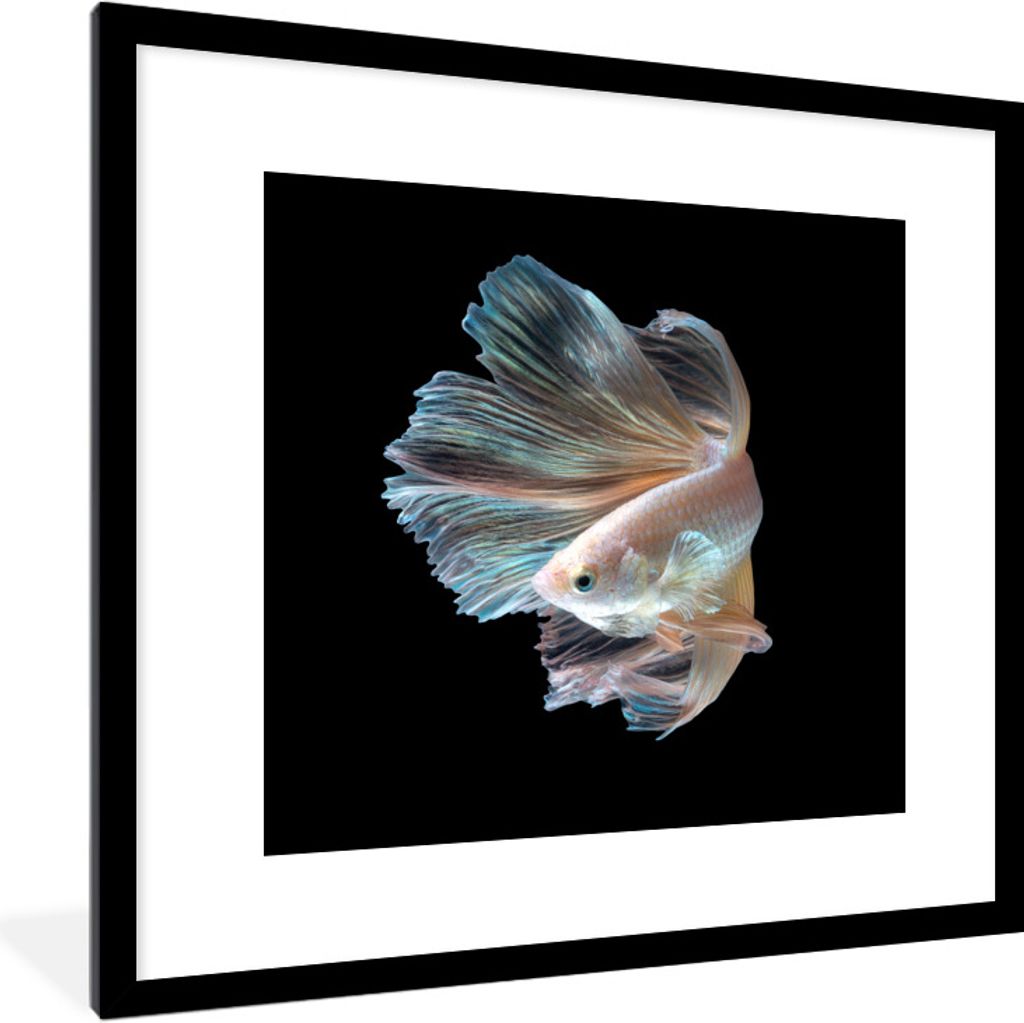 MuchoWow Gerahmtes Poster Fisch - Schwanz - Schwarz 40x40 cm - Poster mit Schwarzem Bilderrahmen Wandposter Rahmen Foto Bilder - Poster - Plakat ...