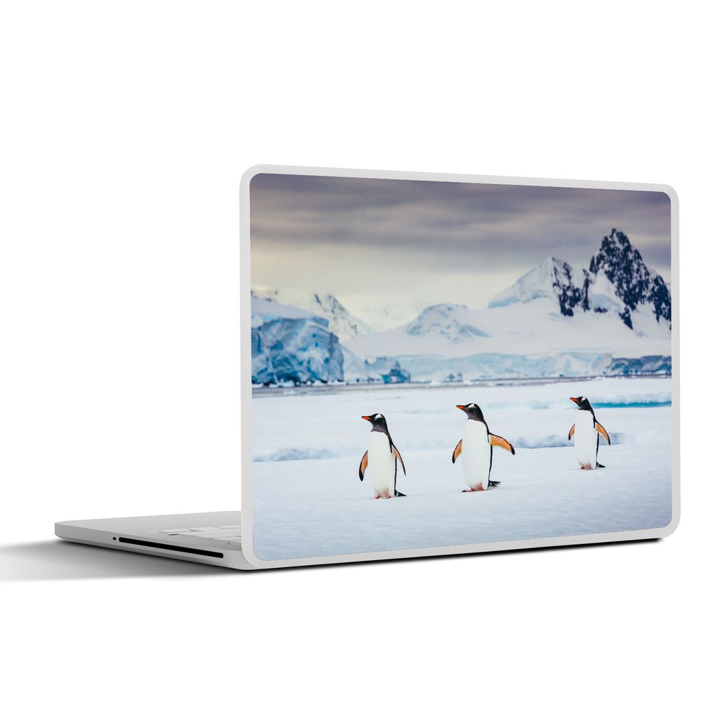 MuchoWow Laptop Aufkleber Sticker Cover Drei Pinguine 31x22.5 cm - Laptop-Deko