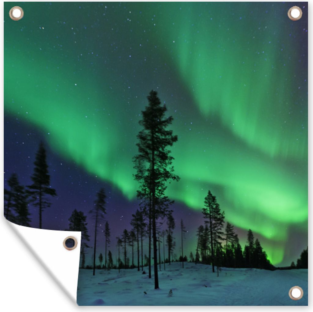 MuchoWow 50x50 cm Outdoor-Poster Gartendeko Sichtschutz Garten Poster für den Garten Nordlichter - Schweden - Boom