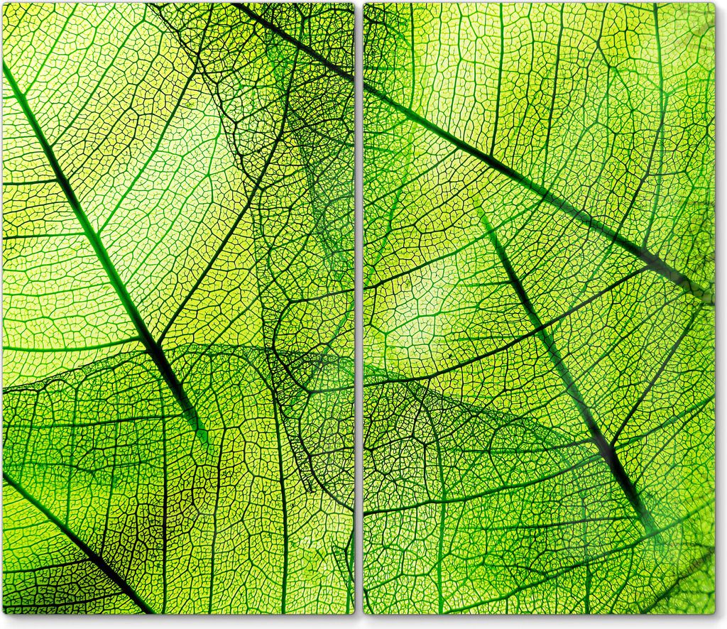 DEQORI Herdabdeckplatte Glas 2-tlg 'Transparente Laubblätter' Herd Abdeckung Küche
