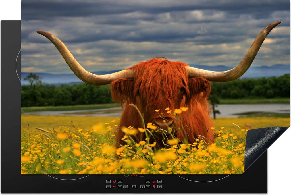 KitchenYeah Herdabdeckplatte Schottischer Highlander - Tiere - Blumen , 81x52cm, Küche Deko, Ceranfeld Herdabdeckung, Abdeckplatte fùr Kochfeld