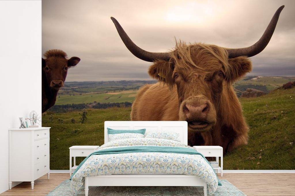 MuchoWow Fototapete für Wohnzimmer oder Schlafzimmer Wandtapete Vinyl Motivtapete Schottischer Highlander - Tiere - Berg - 450x300 cm - Gemusterte