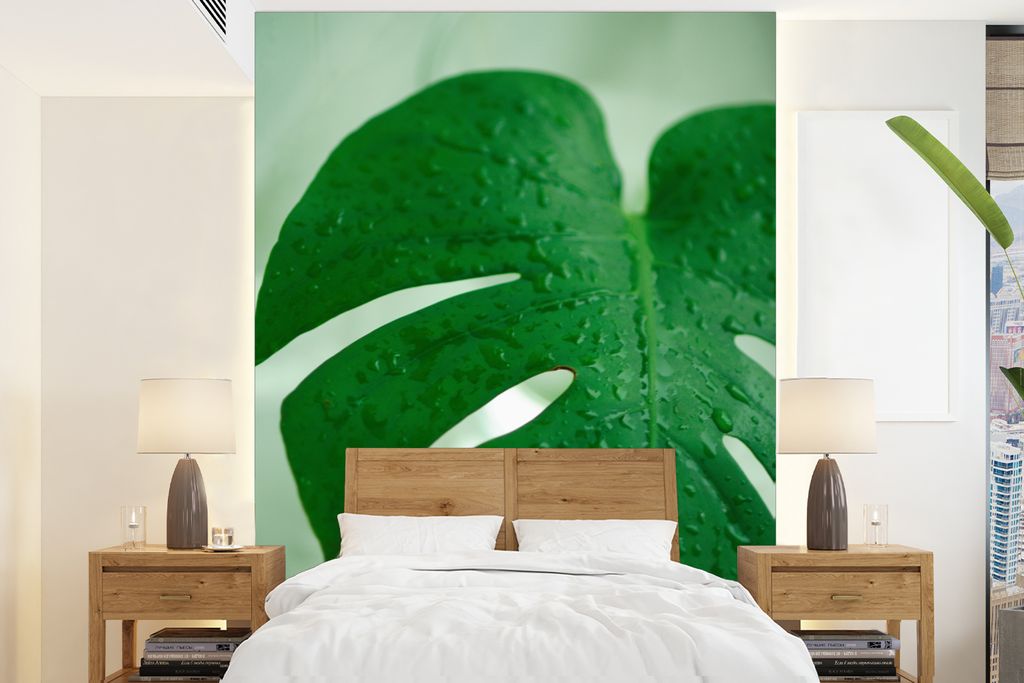 MuchoWow Fototapete für Wohnzimmer oder Schlafzimmer Wandtapete Vinyl Motivtapete Nahaufnahme von Tröpfchen auf einem Blatt der Käsepflanze (M...