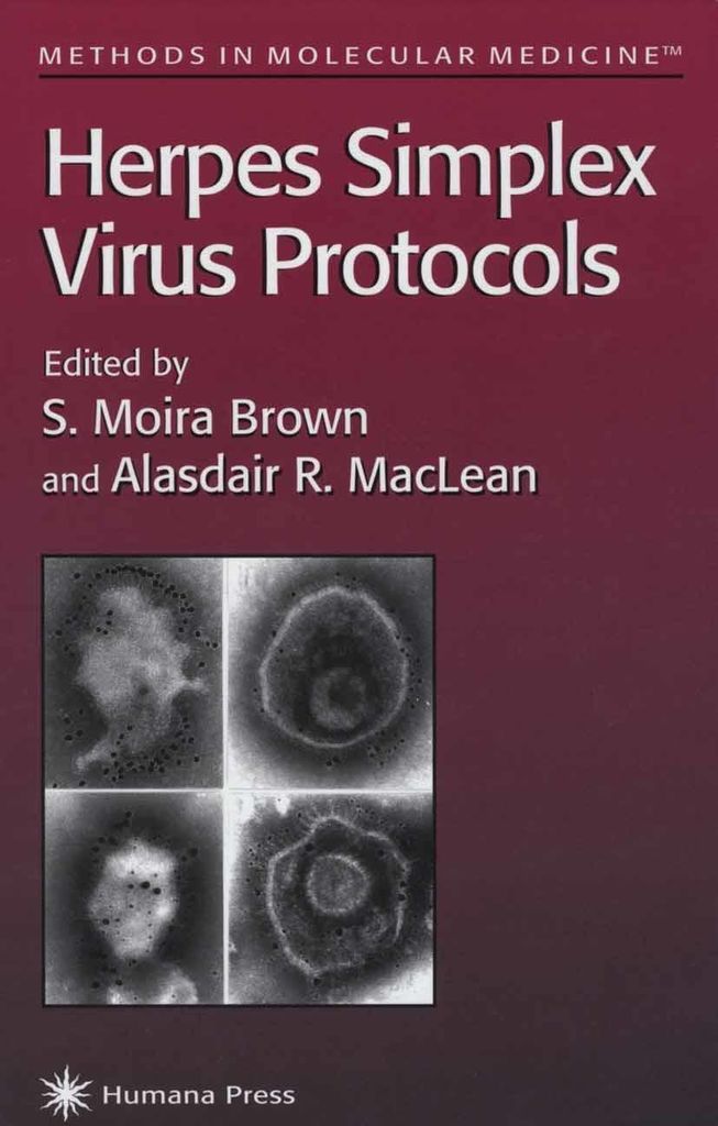 Protokolle zum Herpes-Simplex-Virus