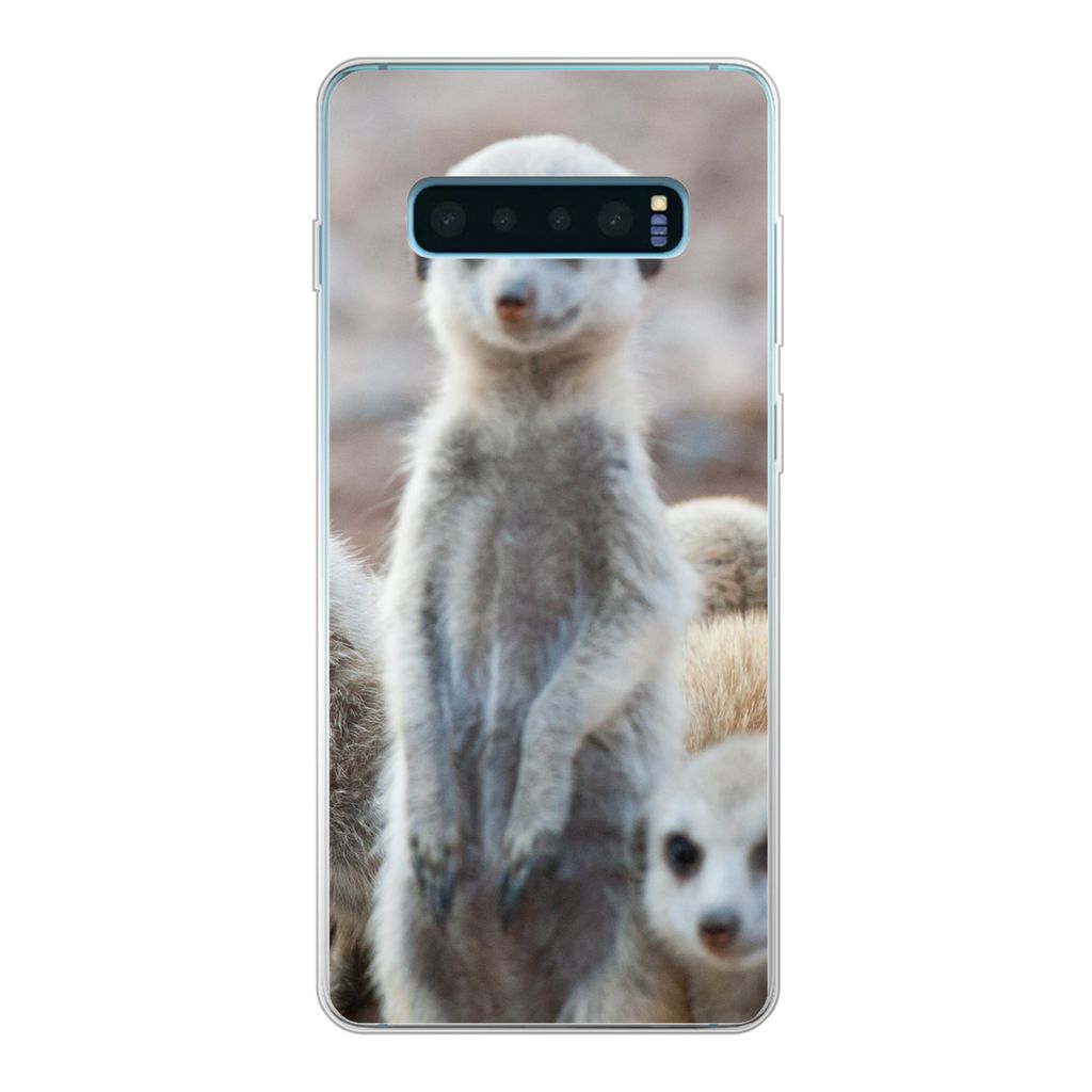 MuchoWow Handyhülle Schutzhülle Hülle für Samsung Galaxy S10 Plus Neugierige Erdmännchen Silikon Softcase Handy Hülle - Schutzhülle