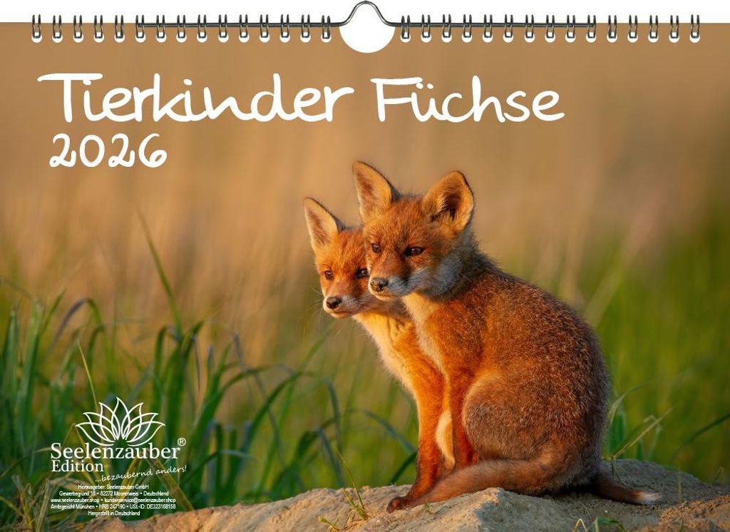 Tierkinder Füchse DIN A4 Kalender für 2026 Fuchs Füchse - Seelenzauber