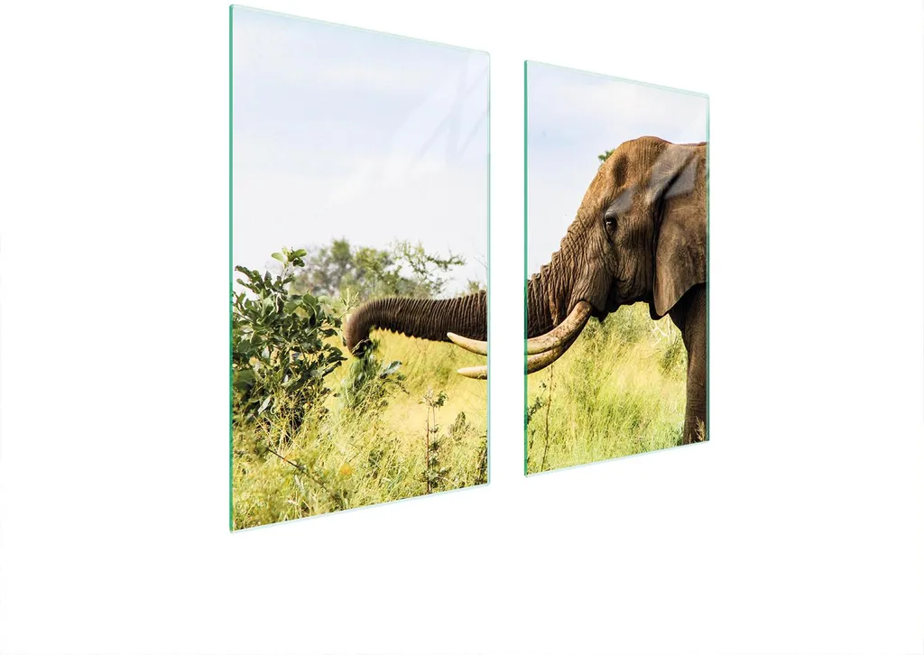 Copri Piano Cottura Elefante 75x52 | Piastre Vetro Ceramica 2 Pezzi