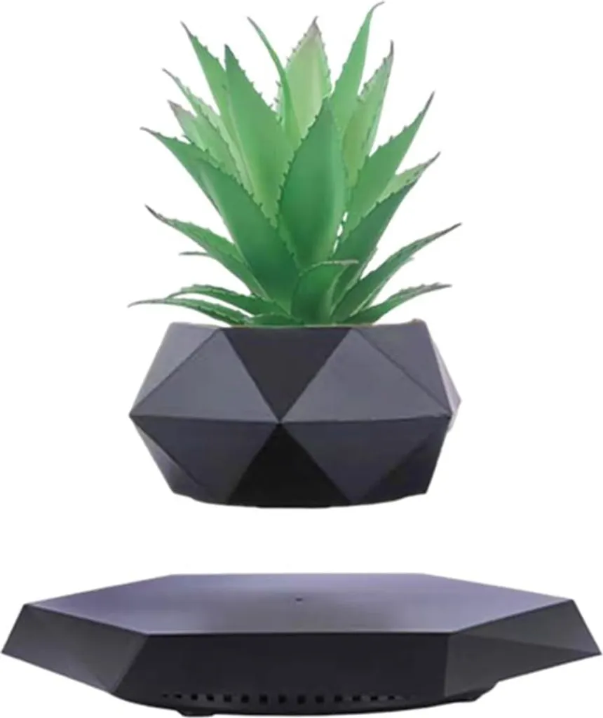 Plante flottante magnétique et pot en lévitation blanc décoratif en bois