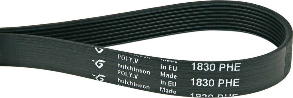 Europart Keilrippenriemen 1830 PH 8 E wie Zanussi 125606200/9