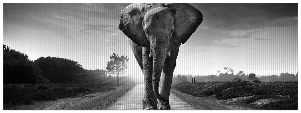 Wallario Duschmatte Antirutschmatte Badmatte Fußmatte Elefant bei Sonnenaufgang in Afrika schwarzweiß, Größe ca. 180 x 65 cm