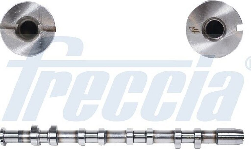 FRECCIA CM05-2247 Nockenwelle Auslass für VW Golf V Schrägheck (1K1) Passat Variant (3C5) Golf V Variant (1K5) Passat Limousine (3C2) Eos (1F7, 1F8)