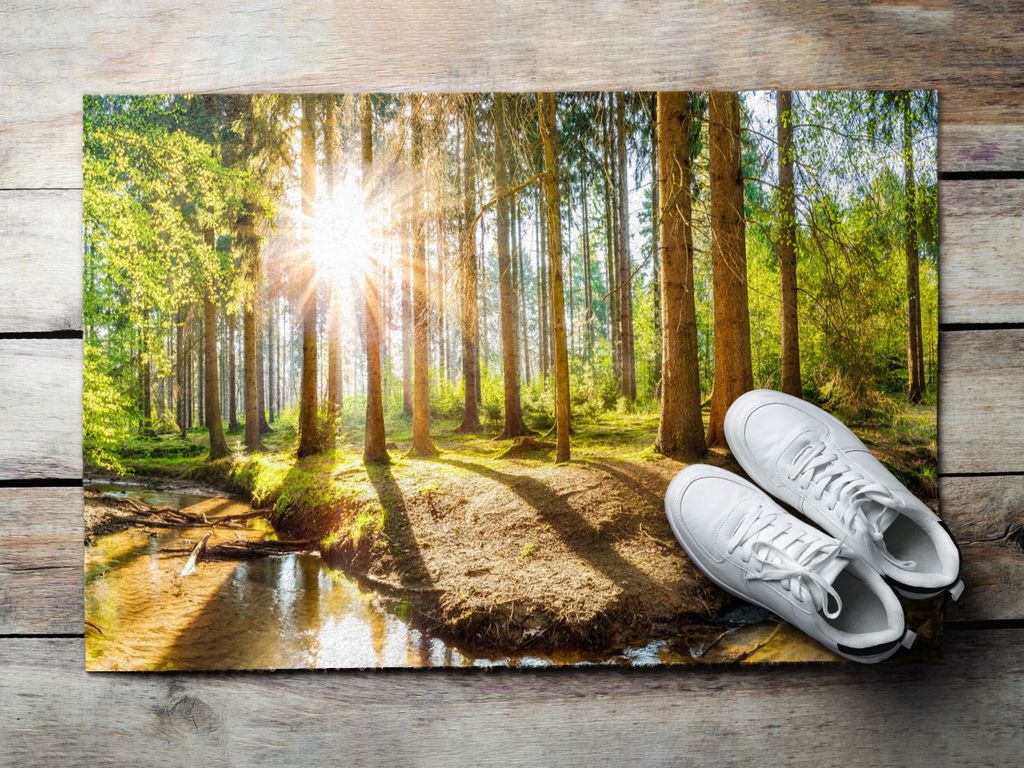 Fußmatte Aussen - Schuhmatte Haustür- Schmutzfangmatte Türvorleger - Outdoor Teppich Schmutzfänger - 90x60 cm - Waldlandschaft