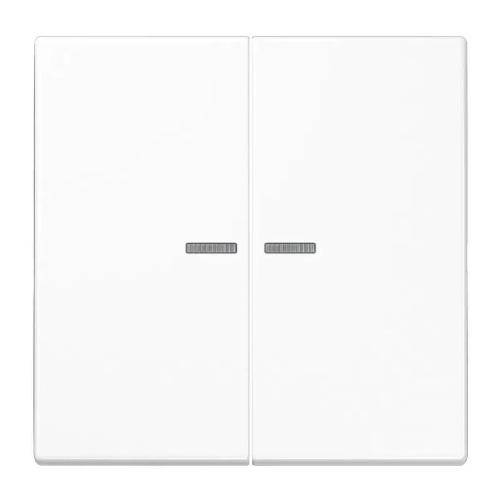 Plaque de commande Jung LS102KO5WW Bascule série KO pour poussoir