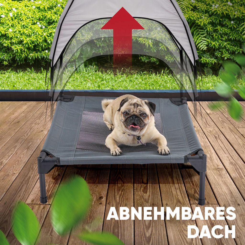 kauknochen kleine hunde Kauknochen für Hunde – magenschonend & vegetarisch main image 0
