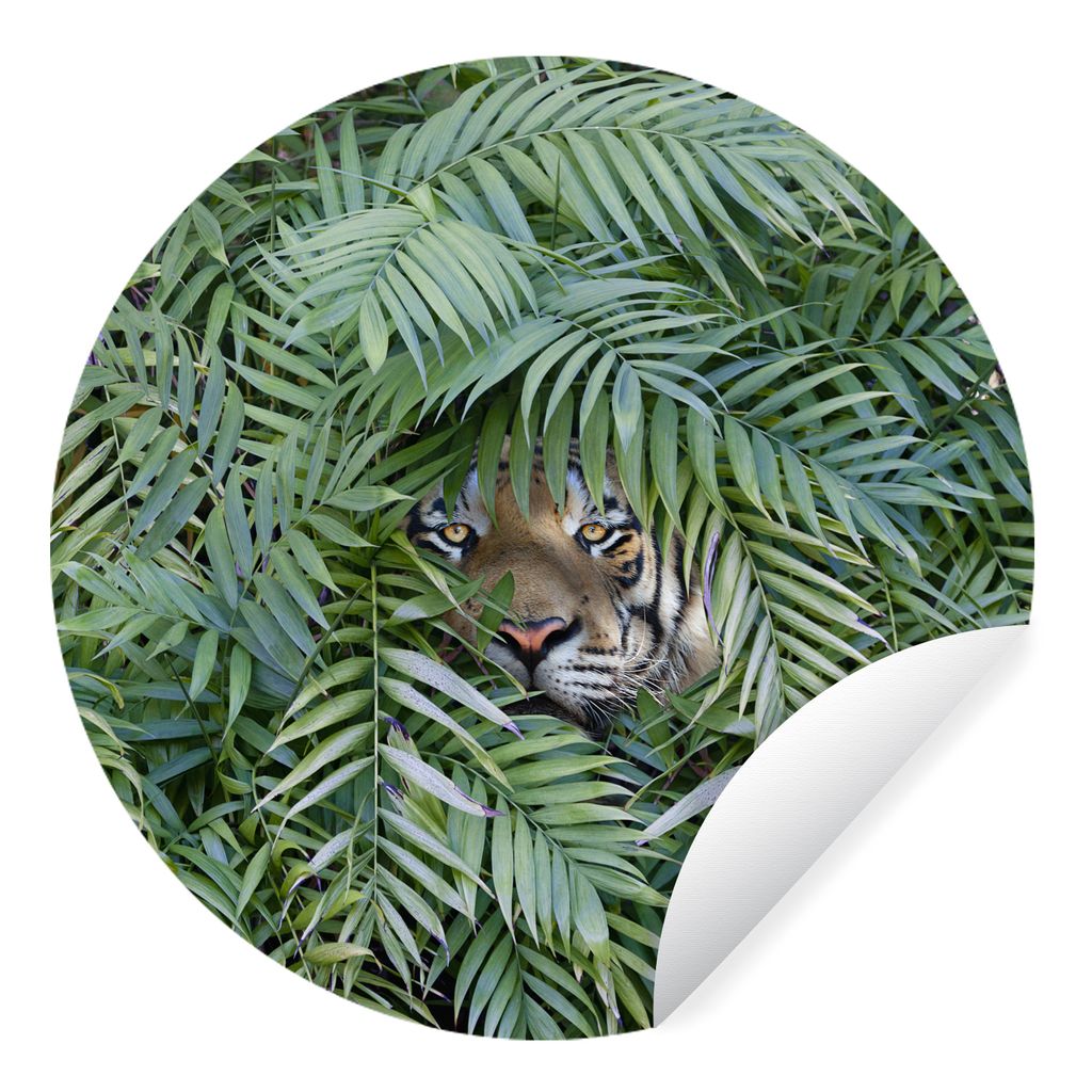MuchoWow Runde Wandtattoo - Wandsticker Tapete Aufkleber Versteckter Tiger zwischen den Pflanzen Ø 80 cm Selbstklebend und Repositionierbar - Wa...