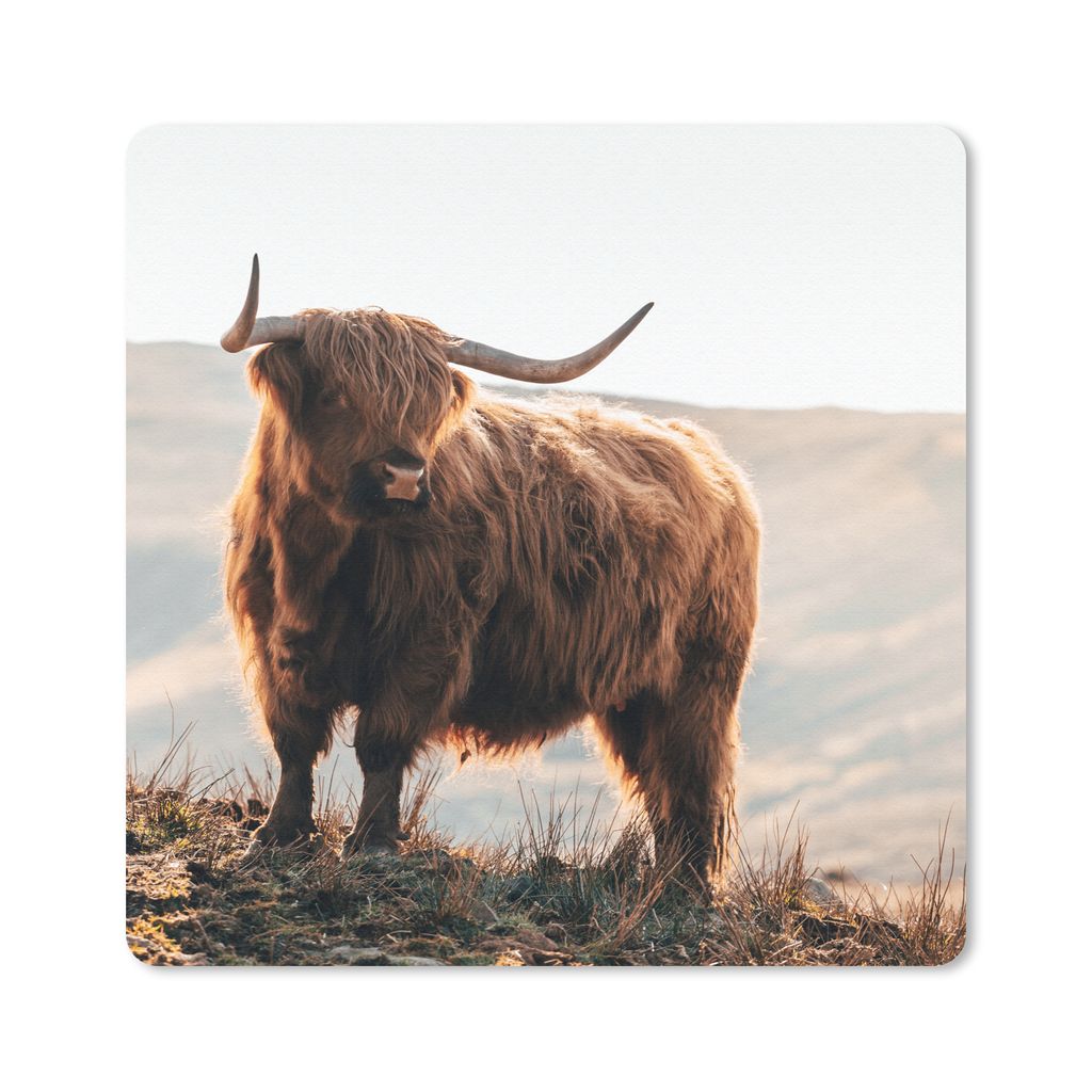 MuchoWow® Mauspad Mousepad Schottische Highlander - Tiere - Produktbild 