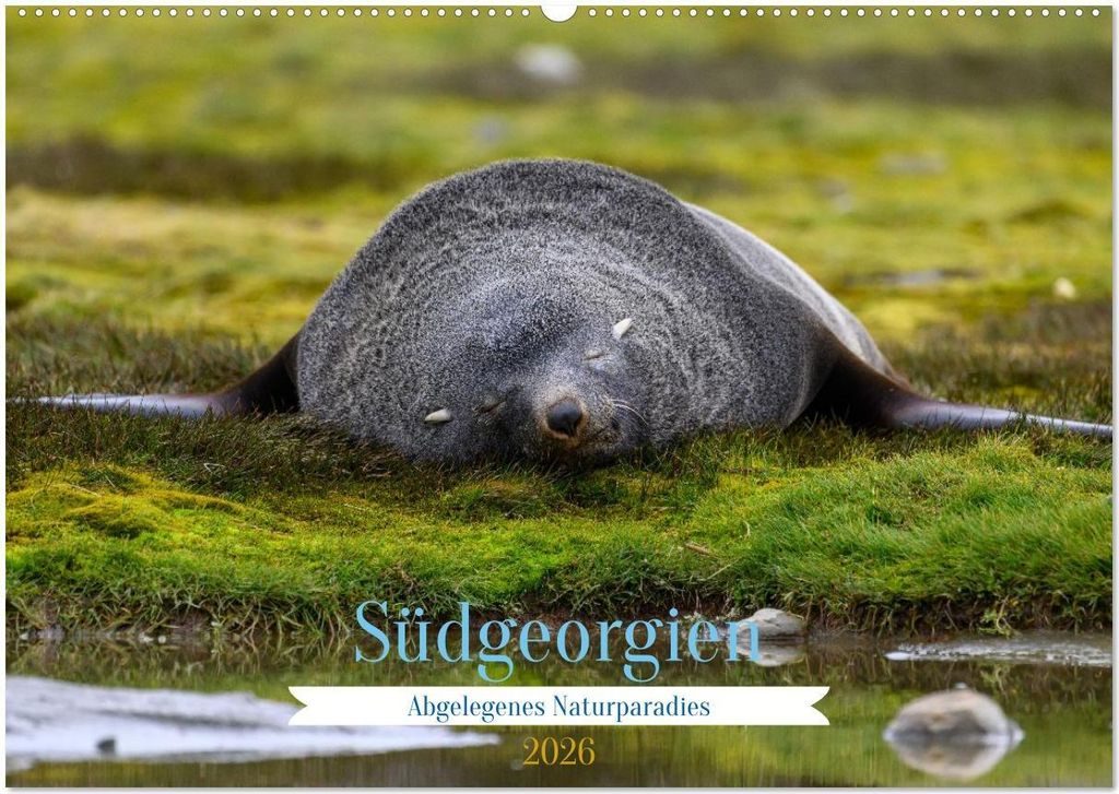 Südgeorgien - Abgelegenes Naturparadies (Wandkalender 2026 DIN A2 quer), CALVENDO Monatskalender